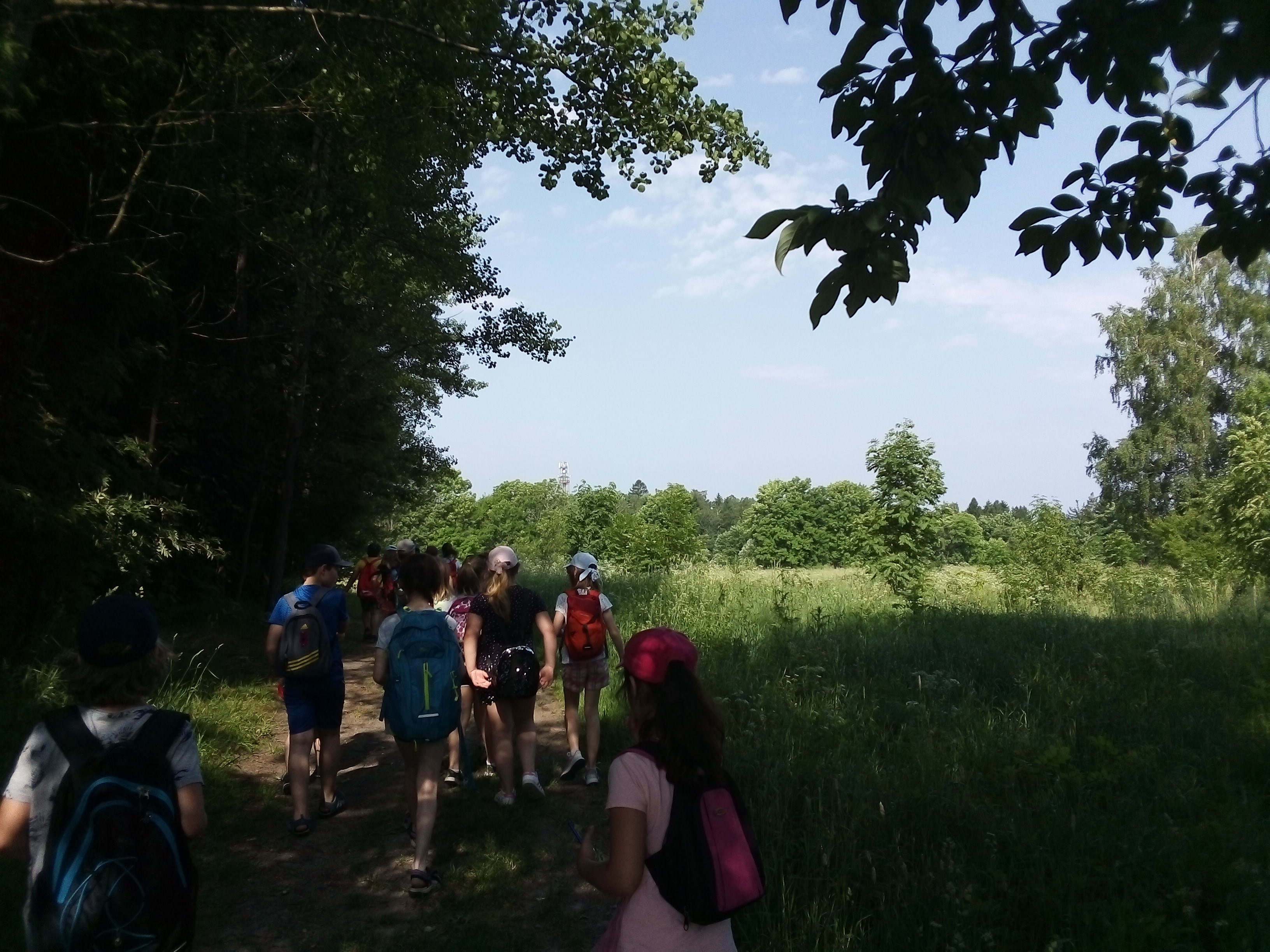 IMG_20210621_093523_BURST003