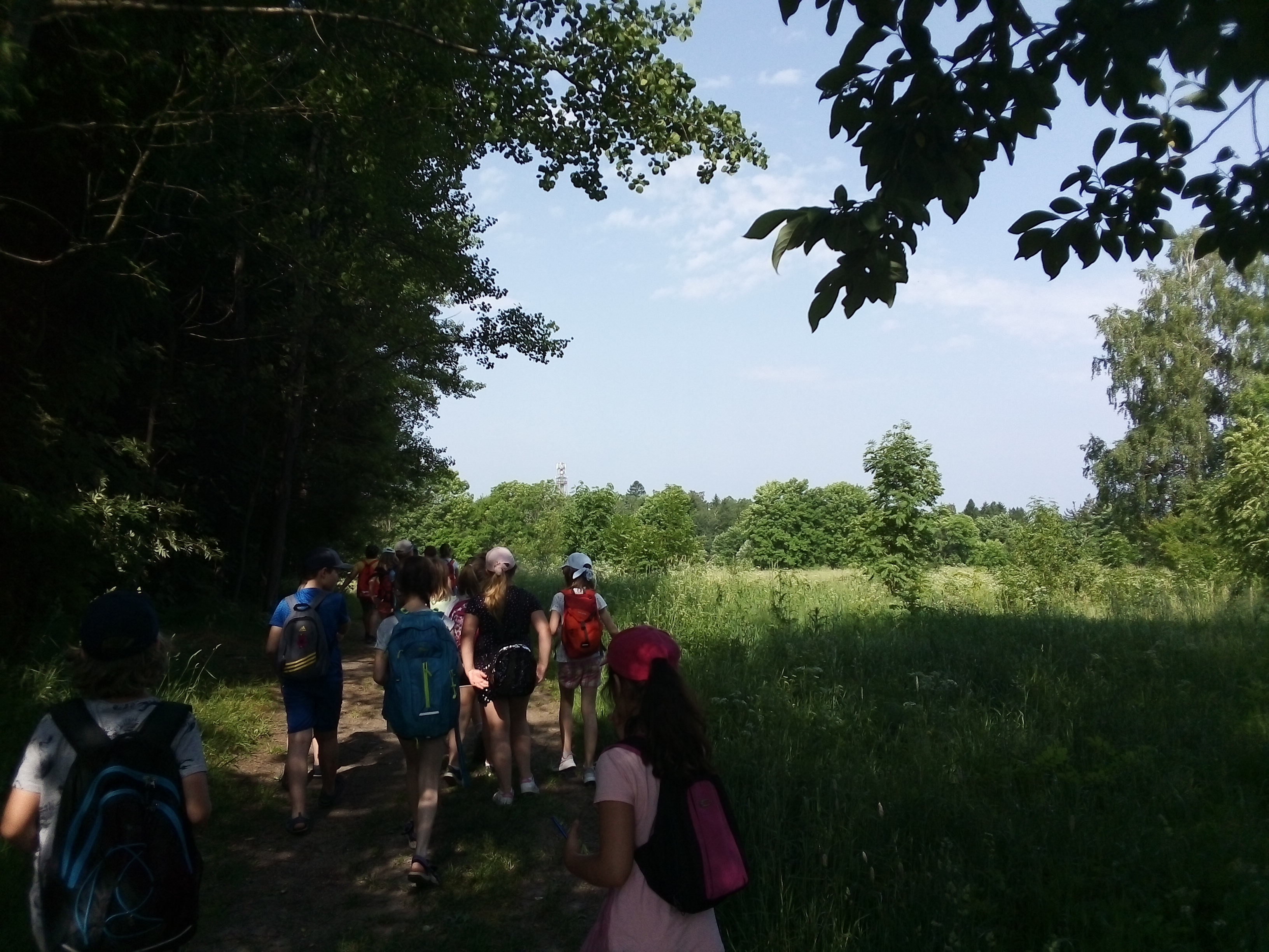 IMG_20210621_093523_BURST004